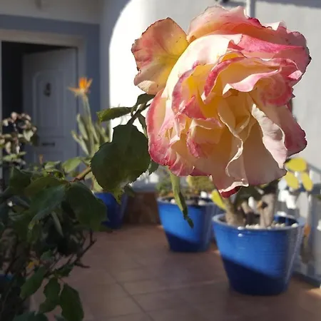 La Marquesa Apartment Rojales